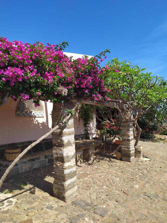 Willa Agriturismo Hibiscus Isola di Ustica Zewnętrze zdjęcie